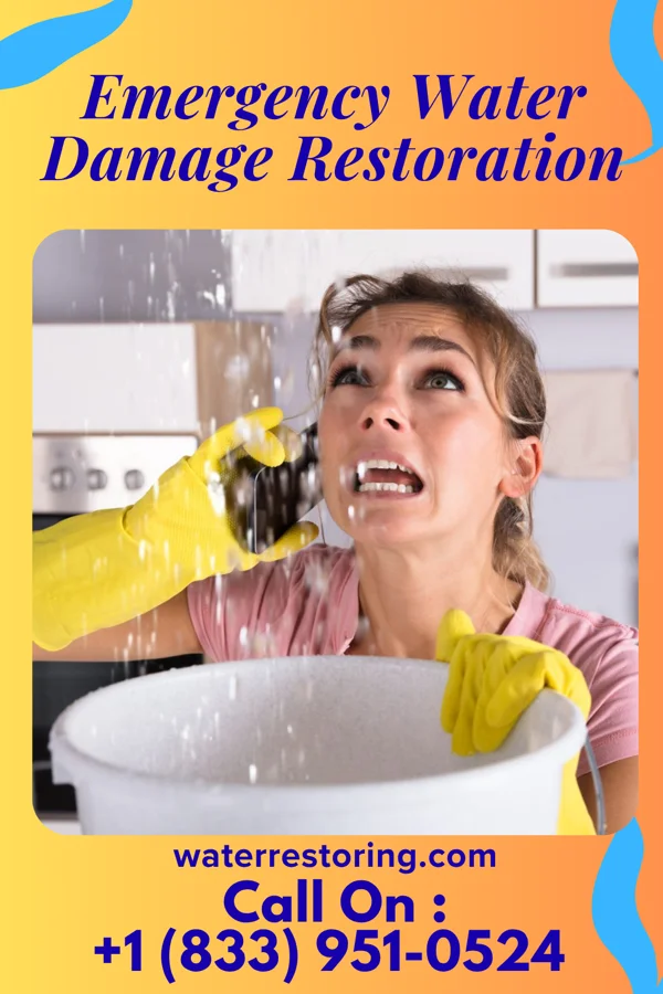 Emergency Water Damage Restoration in Colmesneil, TX