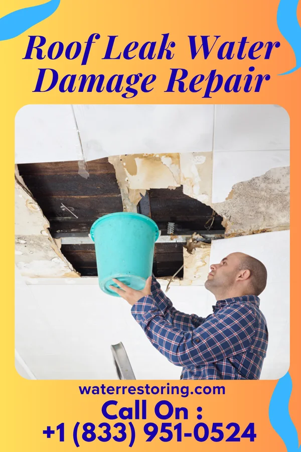 Roof Leak Water Damage Repair in Colmesneil, TX